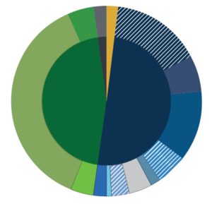 TAM Balanced Pie Q1 2025